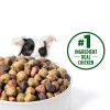 Post Consumer Brands Dry Dog Food Real Chicken Adult Dogs-5