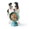 Nutro Natural Choice Dry Dog Food Chicken Recipe Adult-7