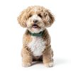 Nutro Natural Choice Small Breed Dog Food Chicken Recipe-7