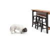 Nutro Natural Choice Small Breed Dog Food Chicken Recipe-4