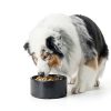 Purina High Protein Dog Food with Salmon Omega-3-10