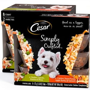 Cesar Wet Dog Food Topper Variety Pack Real Chicken-0
