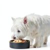 Cesar Wet Dog Food Topper Variety Pack Real Chicken-2