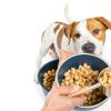 Honest Kitchen Human Grade Dry Dog Food Beef Chicken Turkey-4