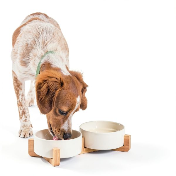 Nutro Natural Choice Small Breed Dog Food Chicken Recipe-6