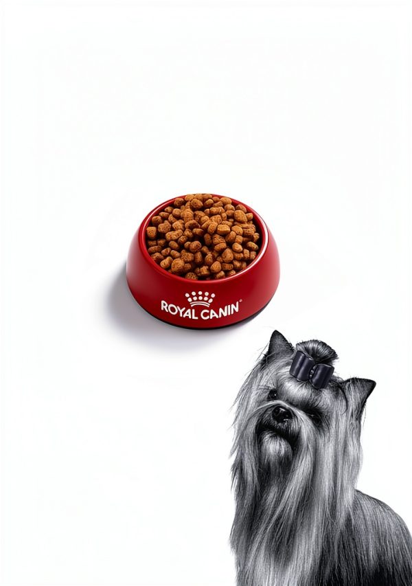 Royal Canin Yorkshire Terrier Adult Dry Dog Food Breed-4