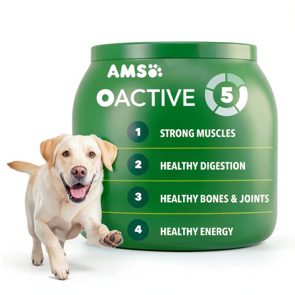 IAMS Large Breed Dog Food Chicken Lamb Rice Adult Nutrition-1