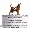 Purina ONE Senior Dog Food High Protein Chicken Formula-3