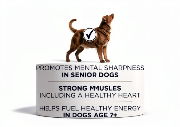 Purina ONE Senior Dog Food High Protein Chicken Formula-3