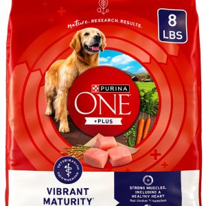 Purina ONE Senior Dog Food High Protein Chicken Formula-0