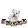 Cesar Wet Dog Food Topper Variety Pack Real Chicken-7