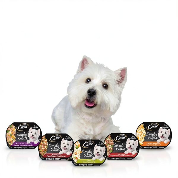 Cesar Wet Dog Food Topper Variety Pack Real Chicken-7