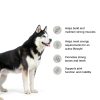 Blue Buffalo High Protein Dog Food Chicken Recipe Adult-3