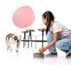 Kibbles n Bits Small Breed Dog Food Bacon Steak Flavor-5