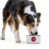 Purina ONE Dog Food High Protein Chicken Rice Formula-7