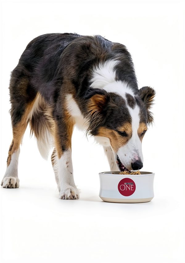 Purina ONE Dog Food High Protein Chicken Rice Formula-7