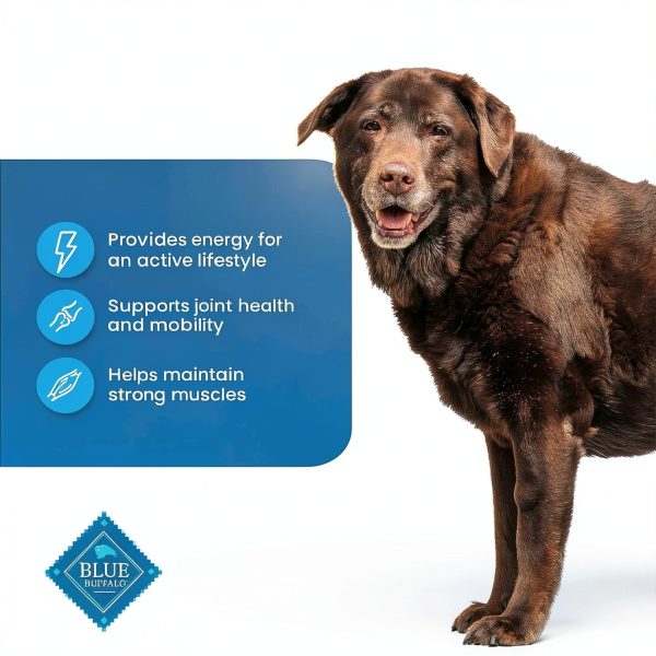 Blue Buffalo Senior Dog Food Chicken Brown Rice Formula-4