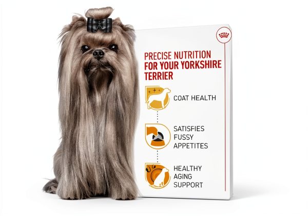Royal Canin Yorkshire Terrier Adult Dry Dog Food Breed-3