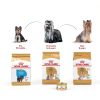 Royal Canin Yorkshire Terrier Adult Dry Dog Food Breed-6