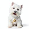 Cesar Wet Dog Food Topper Variety Pack Real Chicken-1