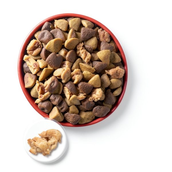 Purina ONE Dog Food High Protein Chicken Rice Formula-1