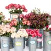 Starburst Signs Sutter Neon Price Tags 300pcs Variety Pack 2x3 3x5 4x6-5