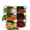 Starburst Signs Sutter Neon Price Tags 300pcs Variety Pack 2x3 3x5 4x6-7